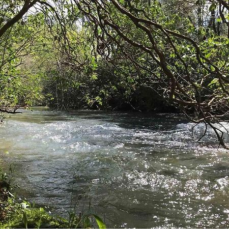Cabin Fever On Cartecay River エリジェイ エクステリア 写真