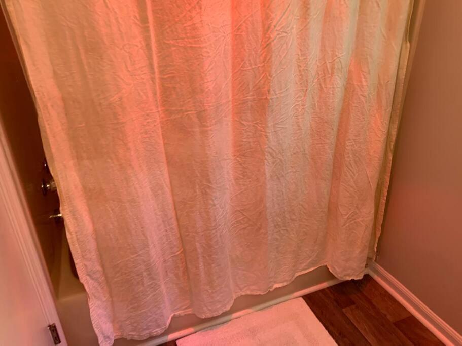 Cabin Fever On Cartecay River エリジェイ エクステリア 写真
