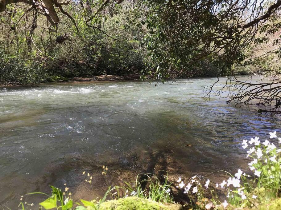 Cabin Fever On Cartecay River エリジェイ エクステリア 写真